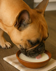 Dog enjoying Raw Goat Milk