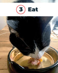 Antinol® Plus – Natural Anti-Inflammatory Support for Cats 60 Pack