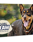 Leading Raw Energy