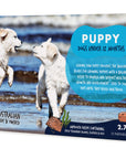 Leading Raw for Puppy