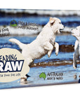 Leading Raw for Puppy