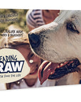 Leading Raw for Senior Dogs