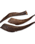 goat horn with marrow medium 15-20cm