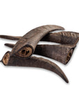 goat horn with marrow medium 15-20cm