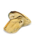 Freeze Dried Whole Green Lipped Mussels