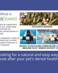Simply Seaweed