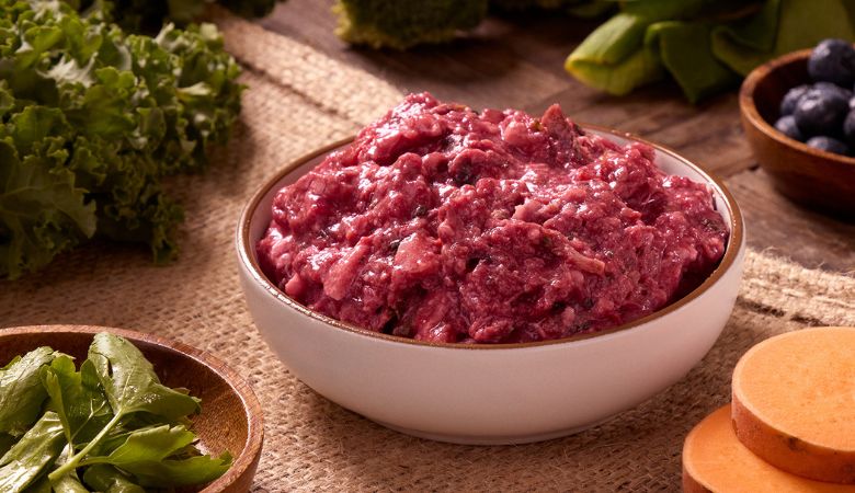BARF vs. PMR: Which Raw Diet is Right for Your Dog?