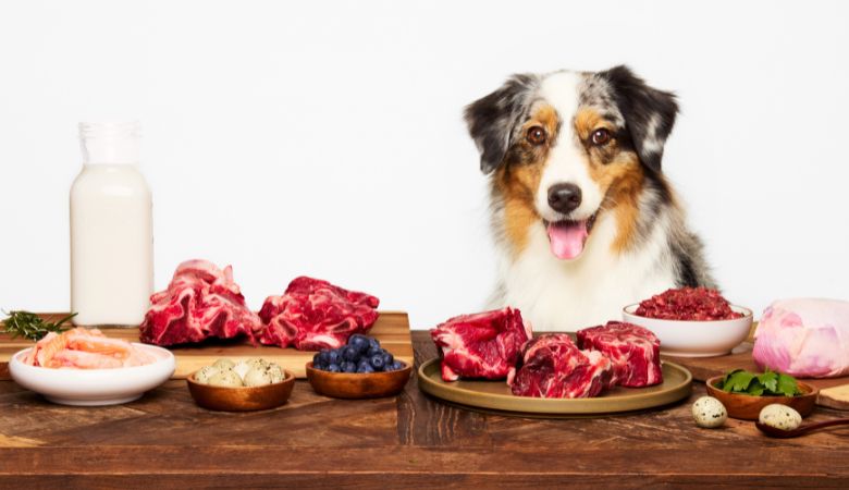 Safe raw feeding for pets Australia