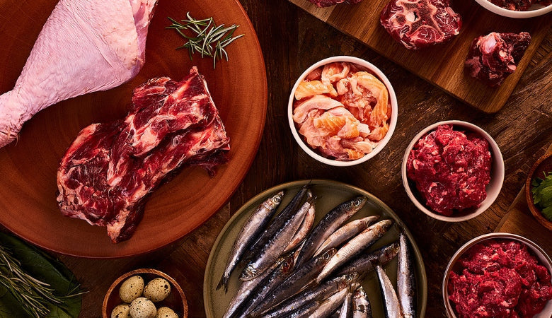 Is raw feeding safe for dogs?