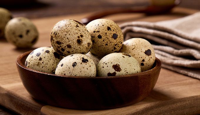 Quail Eggs in Raw Feeding: Compact Nutrition for Vitality and Variety