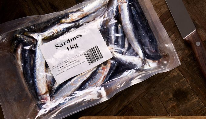 The Nutritional and Therapeutic Value of Raw Sardines in a Raw-Fed Canine Diet