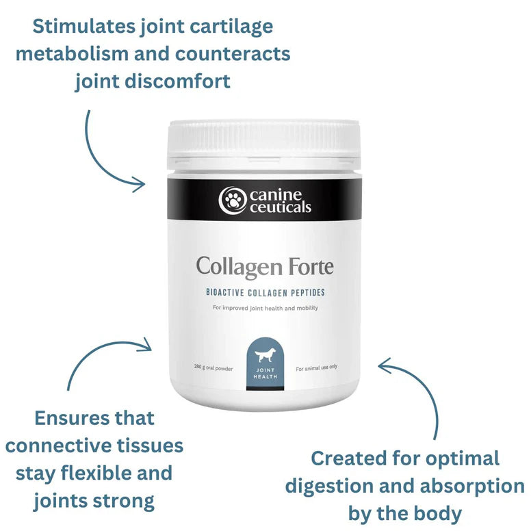 CanineCeuticalsCollagen_Forte