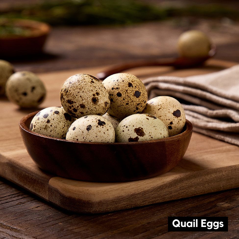 Cat Enrichment &amp; Dental Bundle