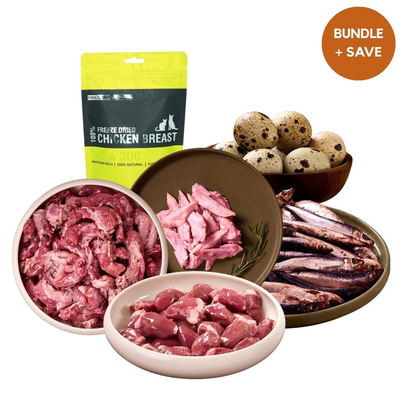 Cat Enrichment & Dental Bundle