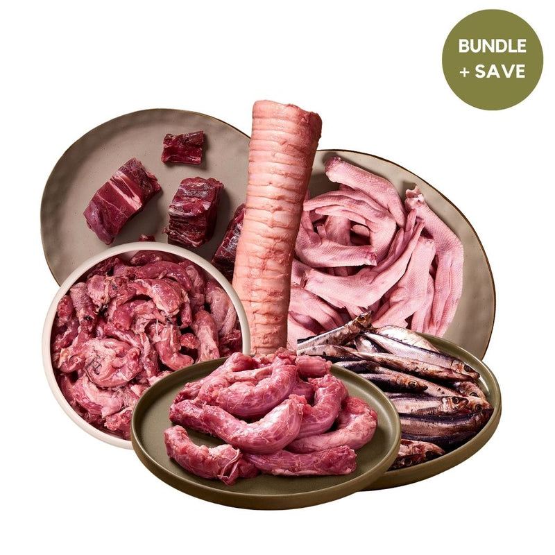 Small Dog Enrichment & Dental Bundle