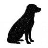 Suitable for Adult Dogs
