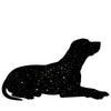 Suitable for Senior Dogs